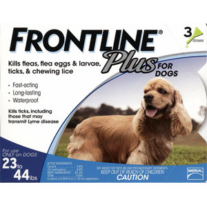 online flea medicine