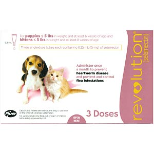 online flea medicine